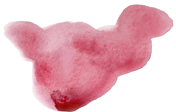 Watercolor Splotch Shape